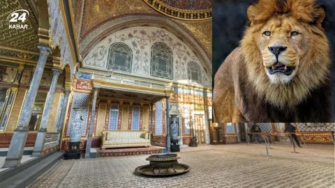 Дипломатія з кігтями й бивнями: навіщо султанам звіринці
