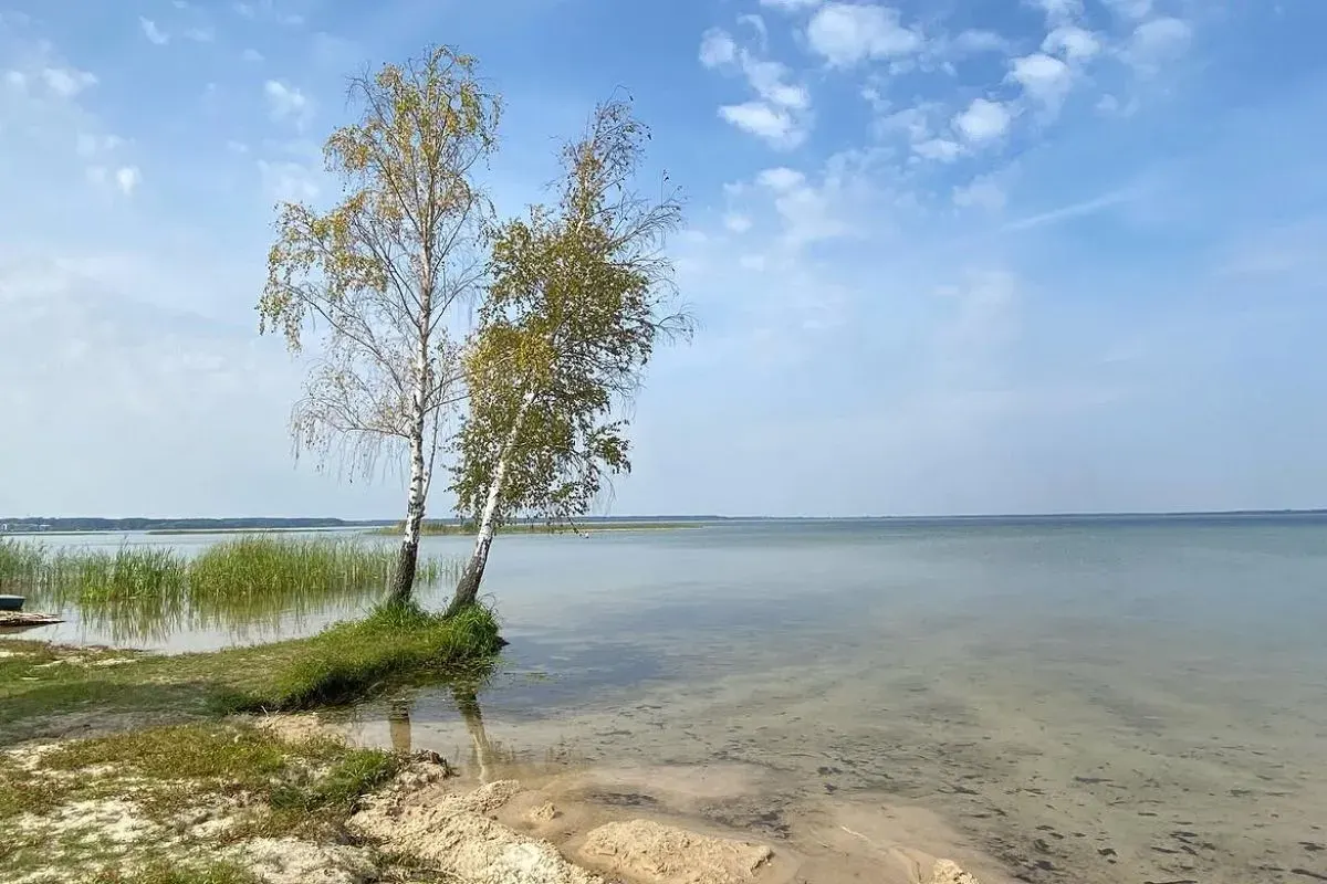 Шацький нацпарк: озерна казка Полісся та маршрути для мандрівників