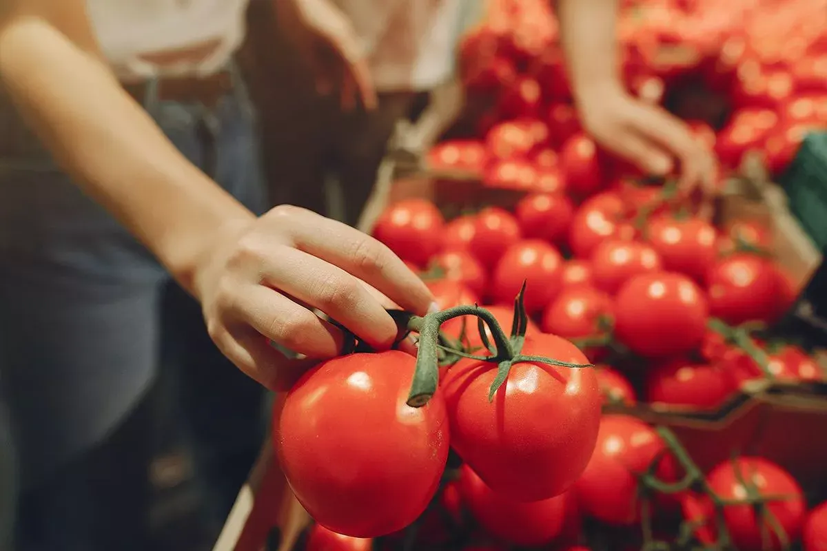 У США створили пристрій, який перевіряє продукти вдома на бактерії й пестициди
