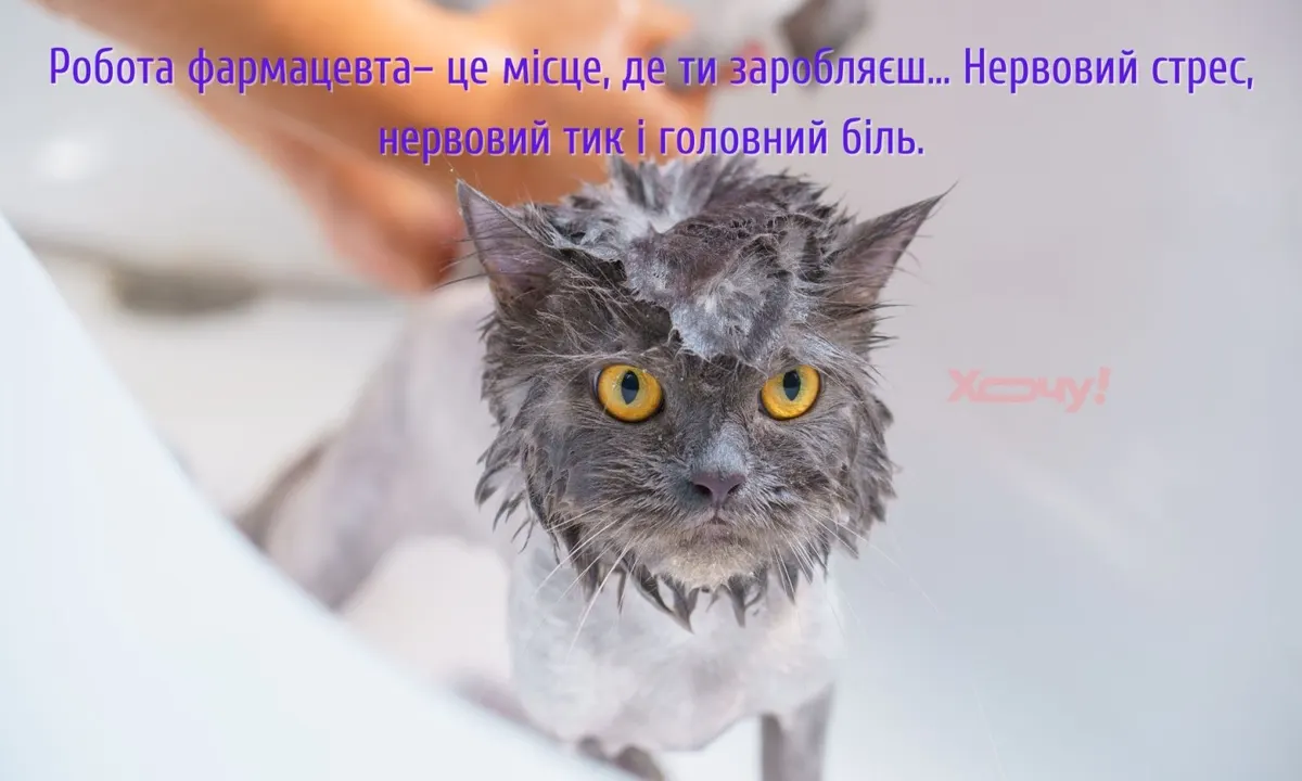 Сміх без рецепта: як жарти про аптекарів стали окремим жанром